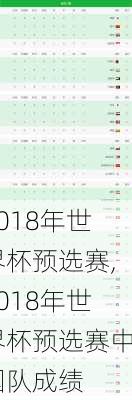 2018年世界杯预选赛,2018年世界杯预选赛中国队成绩