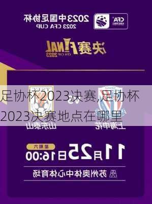 足协杯2023决赛,足协杯2023决赛地点在哪里